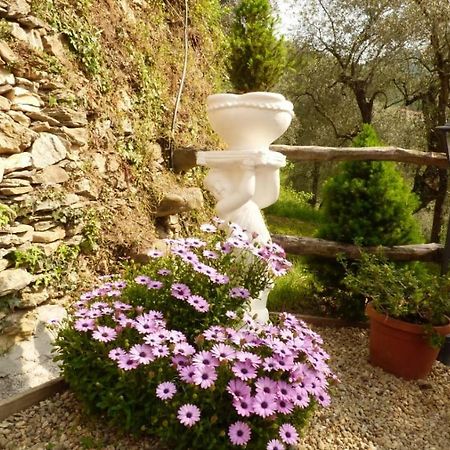 Casa Vacanze Sole Borghetto d'Arroscia Ngoại thất bức ảnh