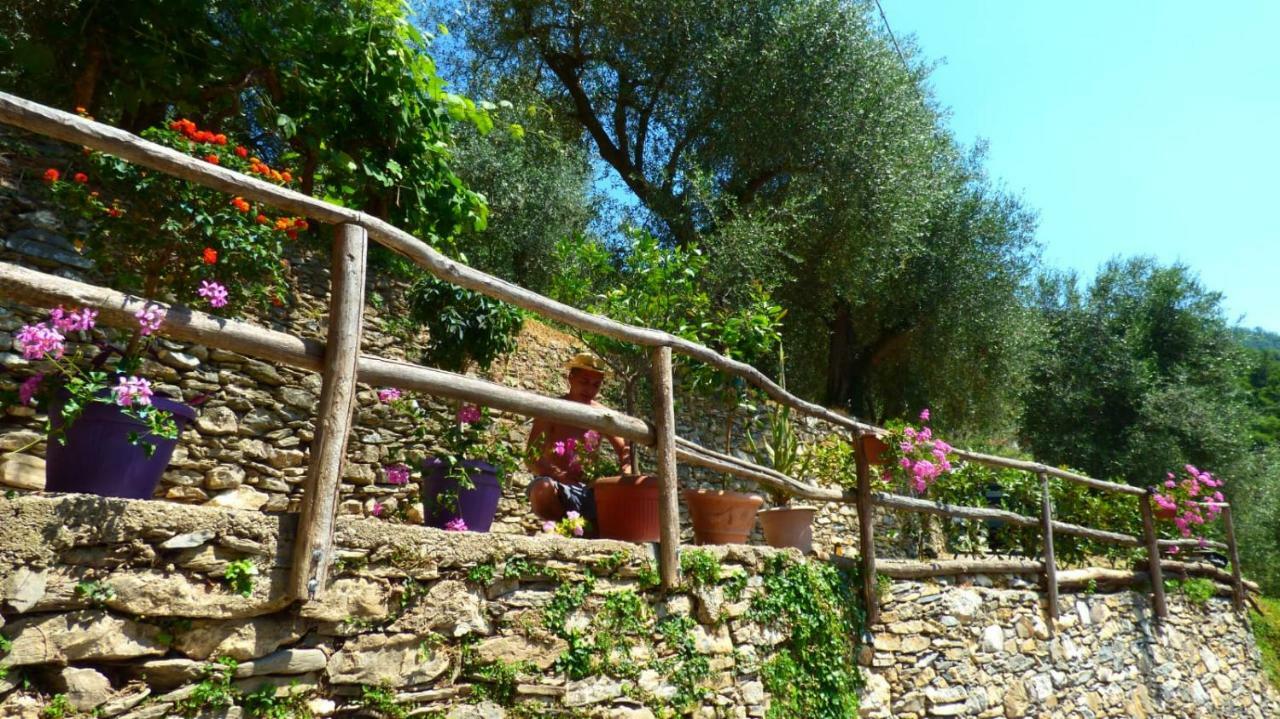 Casa Vacanze Sole Borghetto d'Arroscia Ngoại thất bức ảnh
